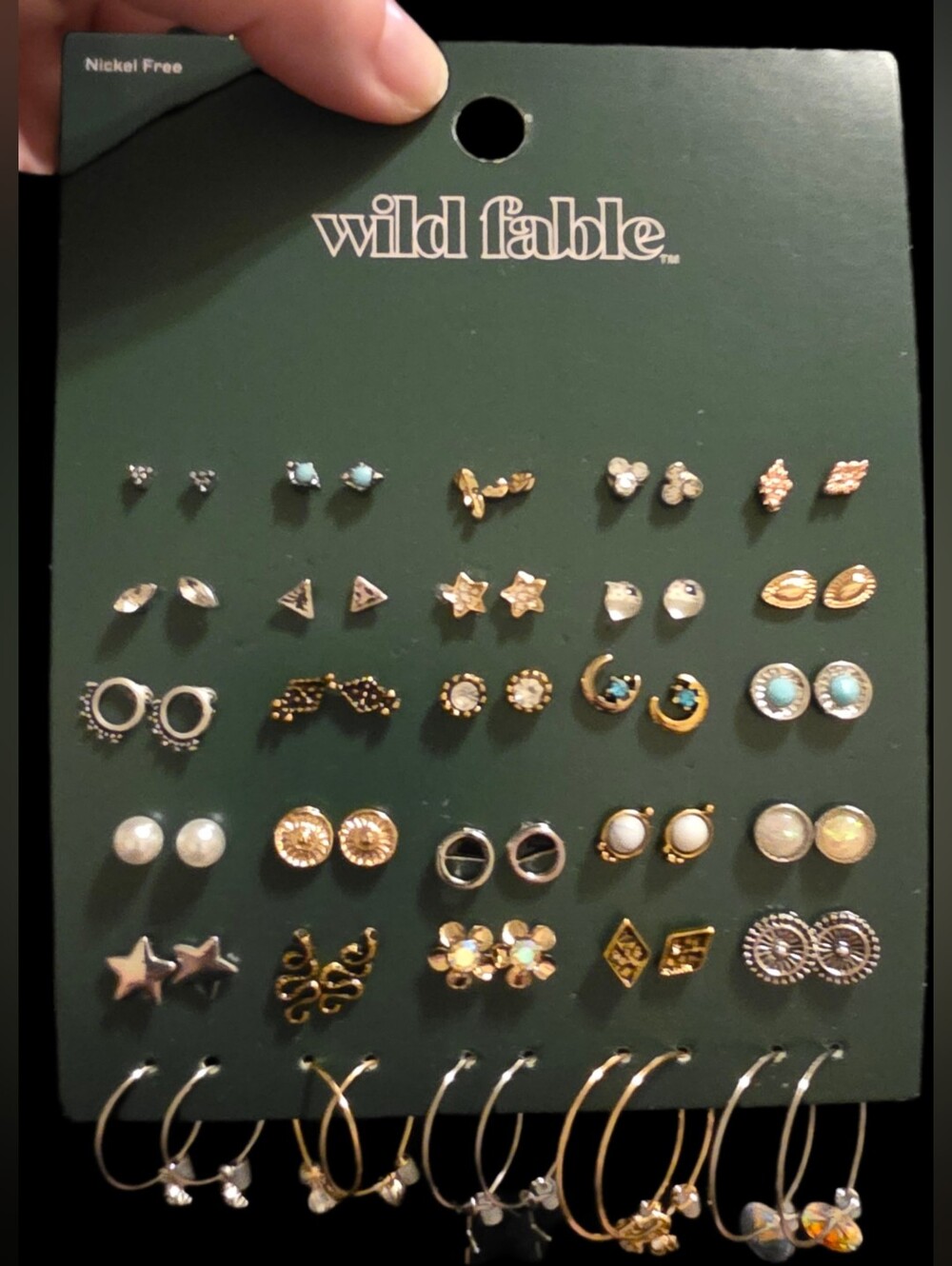 Wild Fable 30 Pairs Earring Set